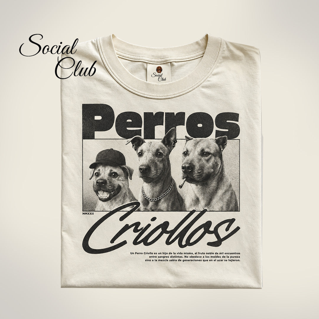 Camisetas