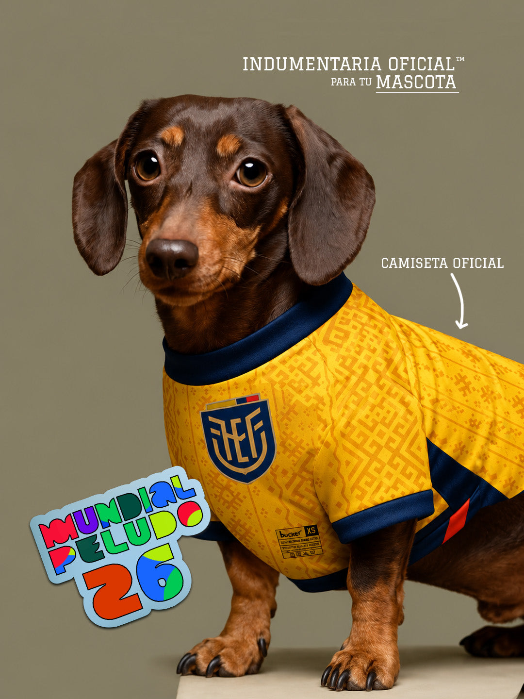 Camiseta para Perros y Gatos Ecuador Mundial 2026
